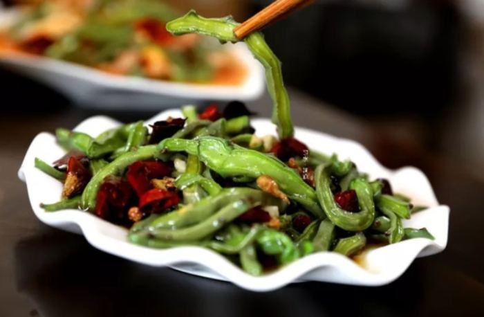 仙人掌發芽照顧