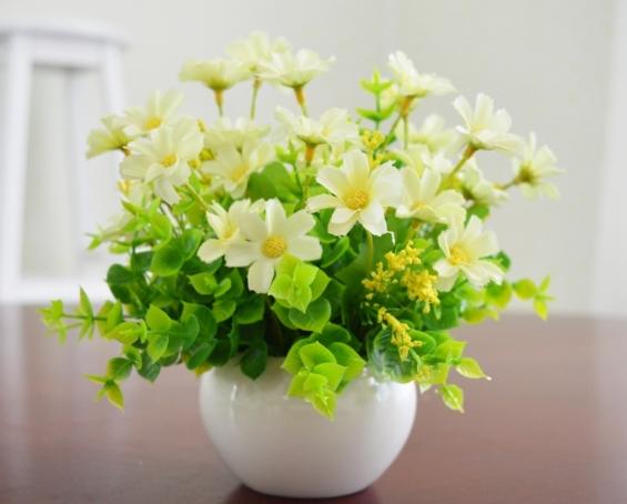 室内植物种植 室内植物种植