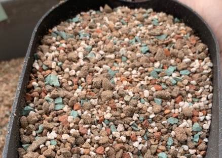 多肉植物土壤 多肉植物土壤