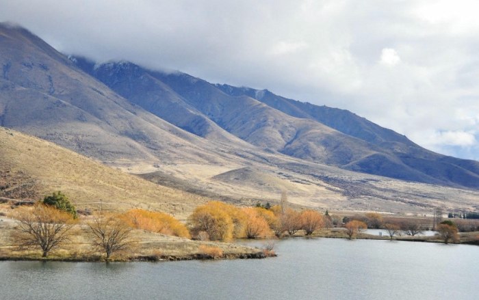 紐西蘭換匯技巧