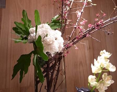 辦公室綠化 辦公室綠化