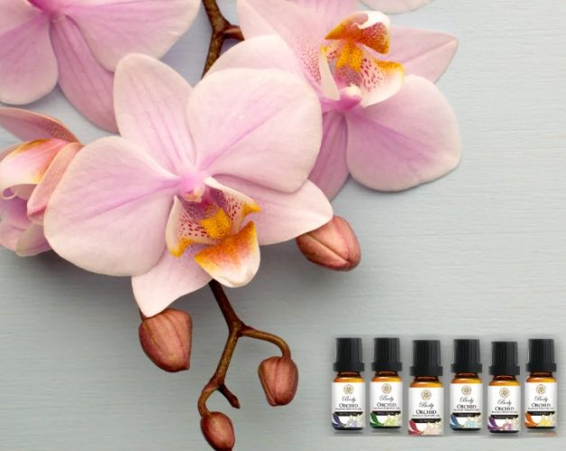 蘭花精油好處