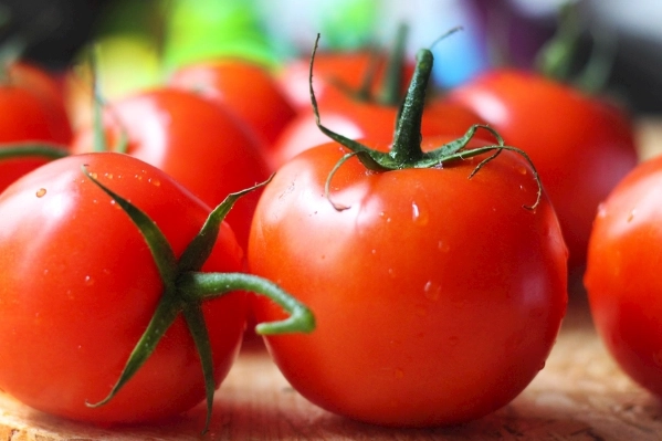 小番茄栽培技巧