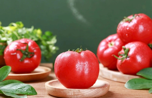 番茄種植溫度 番茄種植溫度