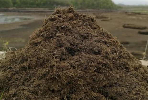 泥炭土環保問題