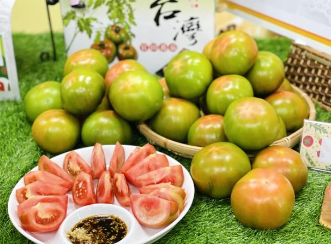 黑柿番茄栽培 黑柿番茄栽培