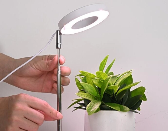 植物燈照人功效