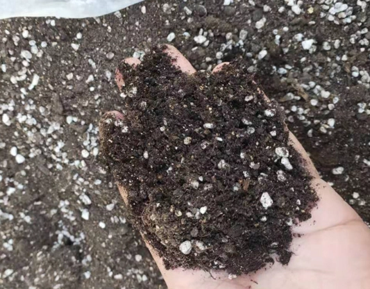 腐植土與泥炭土差異