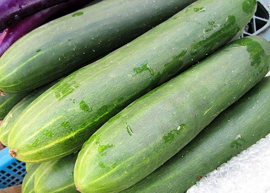 大胡瓜栽培時機 大胡瓜栽培時機