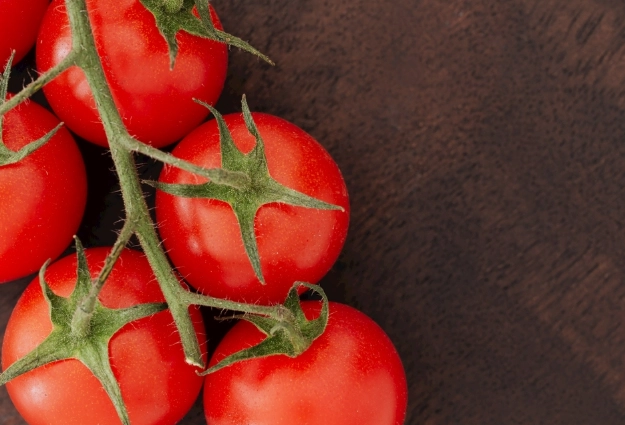 小番茄种植方法