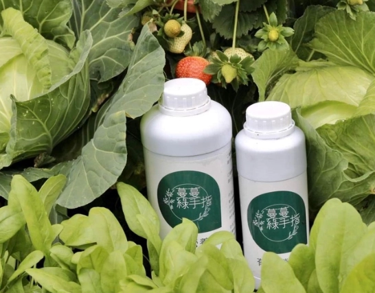 植物養分選擇 植物養分選擇