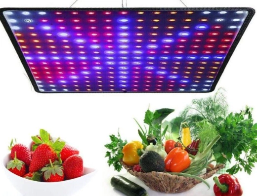 植物燈照人使用方法