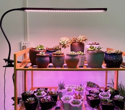 植物生長燈安全性 植物生長燈安全性