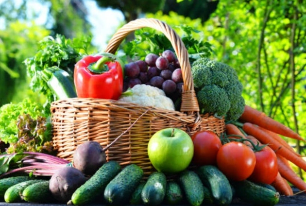 陽台種菜 陽台種菜