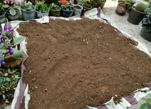 泥炭土消毒方法 泥炭土消毒方法