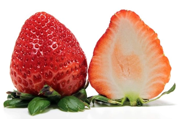 台灣草莓栽培技巧 台灣草莓栽培技巧