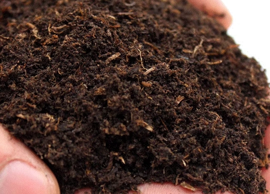 種子培養土選擇