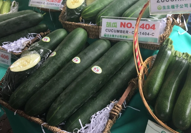 大胡瓜種植季節 大胡瓜種植季節