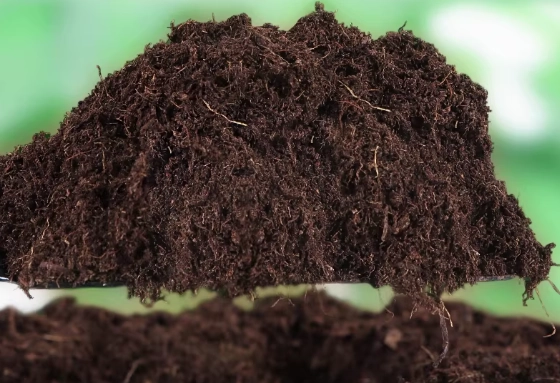 腐葉土泥炭土混合比例 腐葉土泥炭土混合比例