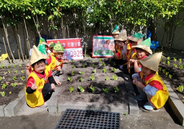 有機蔬菜種植 有機蔬菜種植