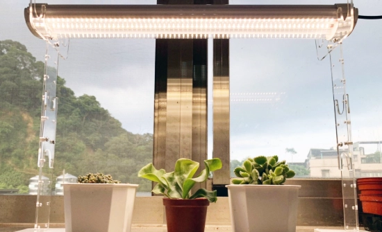 植物燈紫外線 植物燈紫外線