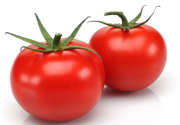 番茄種植溫度 番茄種植溫度