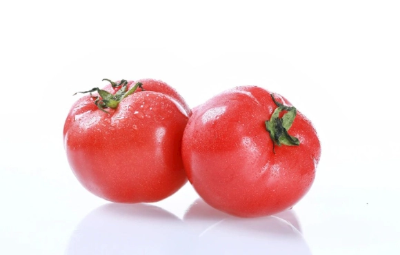 陽台種番茄 陽台種番茄