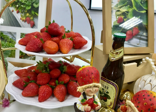 戀香草苺哪裡買