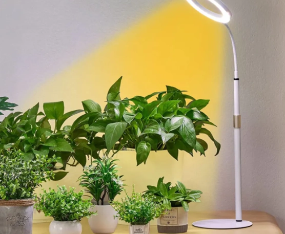 LED植物燈