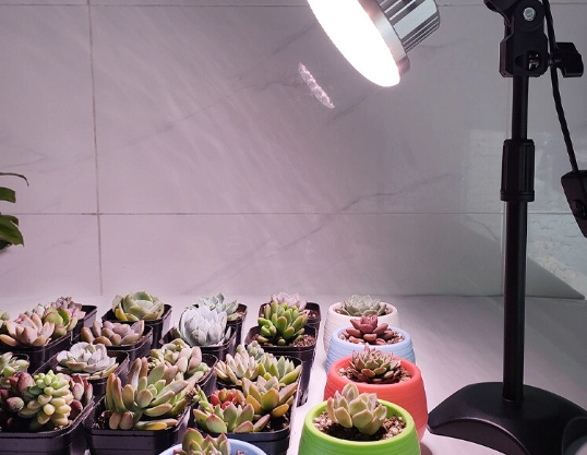 植物生長燈