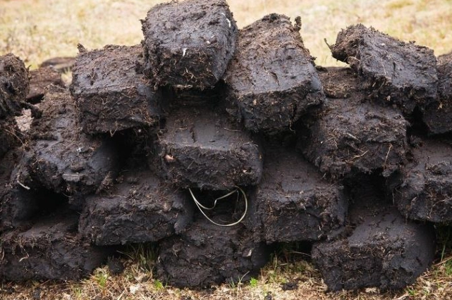 泥炭土消毒方法 泥炭土消毒方法