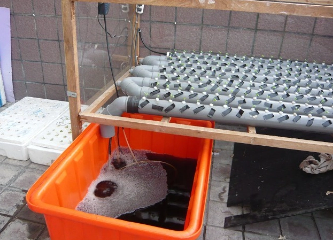 植物養分選擇 植物養分選擇