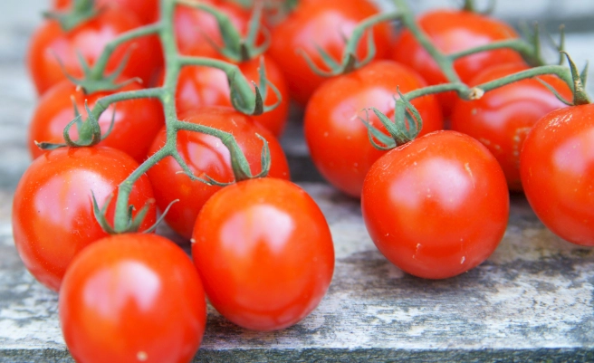 番茄溫度管理 番茄溫度管理