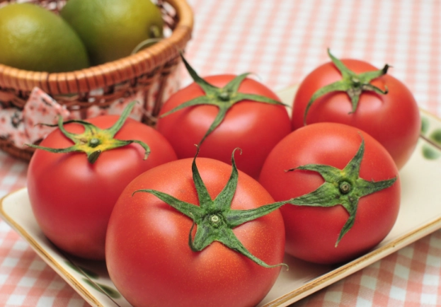 黑柿番茄栽培 黑柿番茄栽培