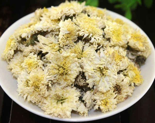 黃菊花茶功效 黃菊花茶功效