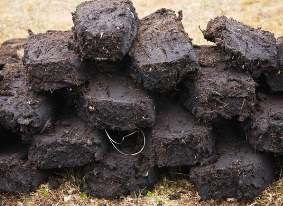 泥炭土環保問題