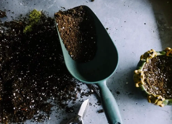 泥炭土使用缺點