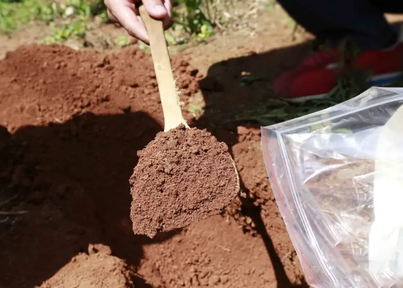 土壤深度要求 土壤深度要求