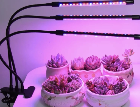 UV植物燈 UV植物燈