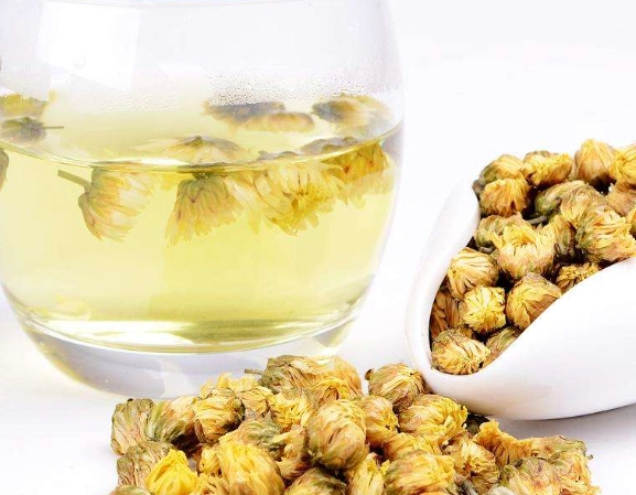 白菊泡茶好處 白菊泡茶好處