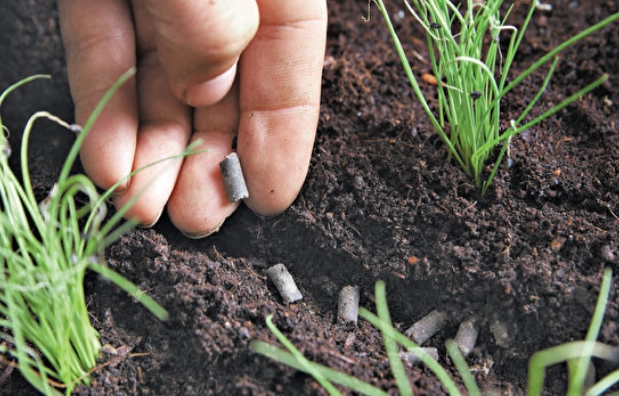蔬菜種植澆水技巧 蔬菜種植澆水技巧