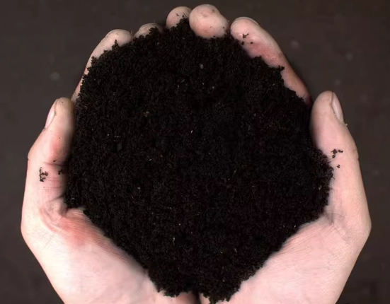 腐葉土泥炭土差異 腐葉土泥炭土差異