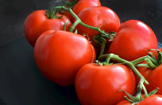 小番茄栽培技巧