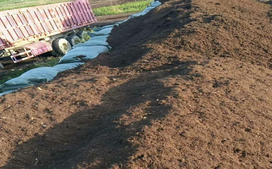 泥炭土杀菌 泥炭土杀菌