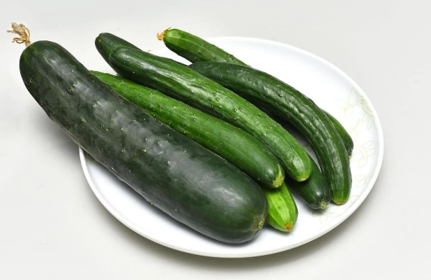 小黃瓜白斑防治 小黃瓜白斑防治