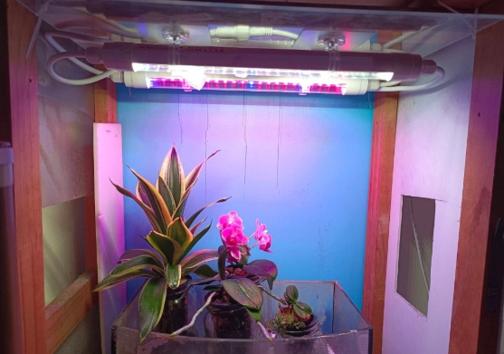 UV植物燈 UV植物燈