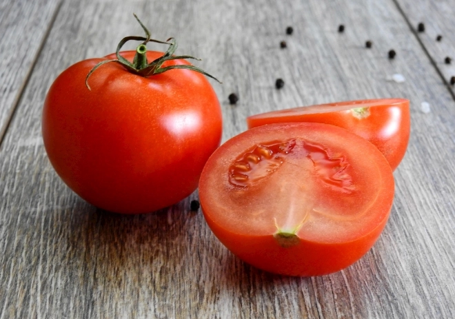 番茄種植溫度 番茄種植溫度