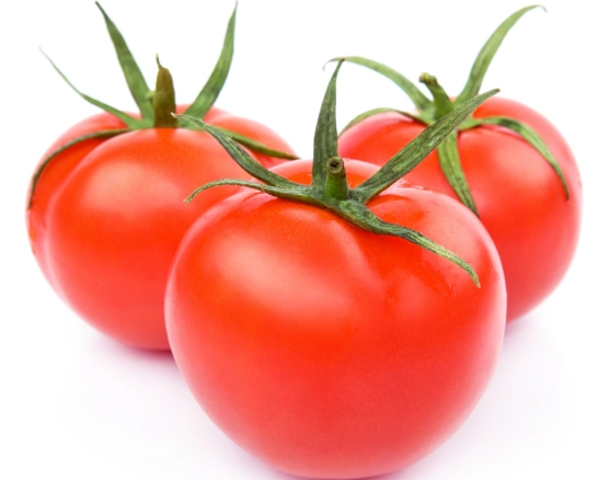 牛番茄GMO優缺點 牛番茄GMO優缺點