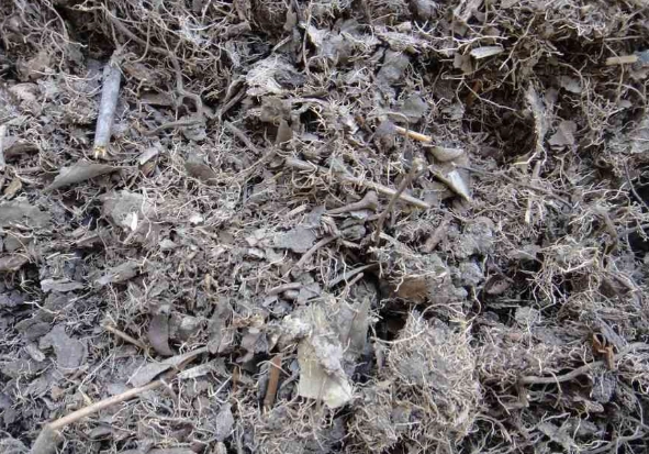 腐葉土泥炭土適用植物 腐葉土泥炭土適用植物