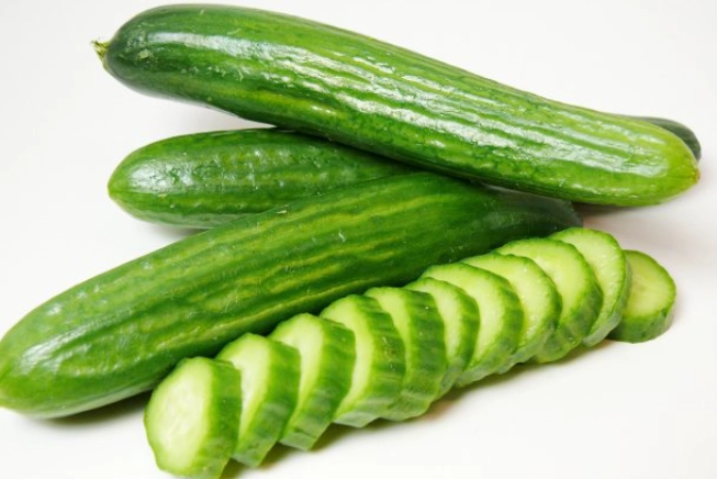 小黃瓜種植時間